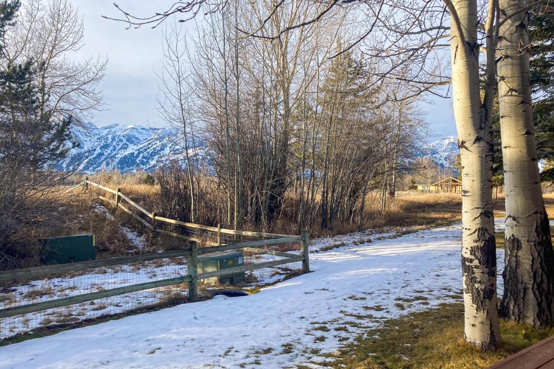 Photo of Others in Jackson Hole