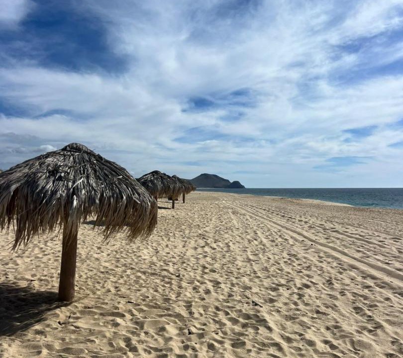 Photo of Others in Todos Santos