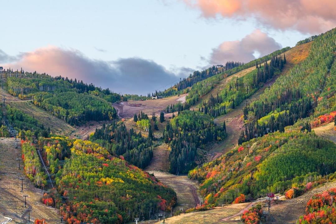 Photo of Others in North Park City