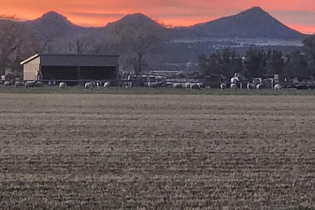 Photo of Others in Cedar City