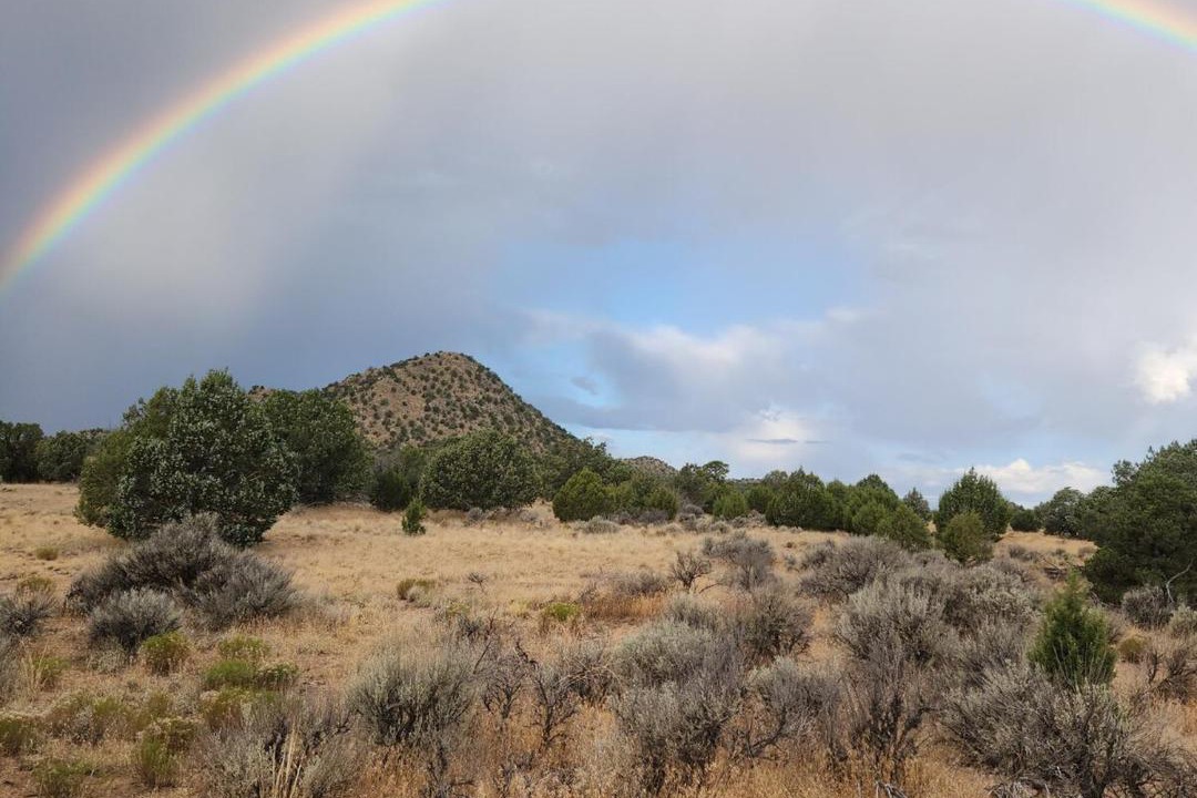 Photo of Others in Cedar City