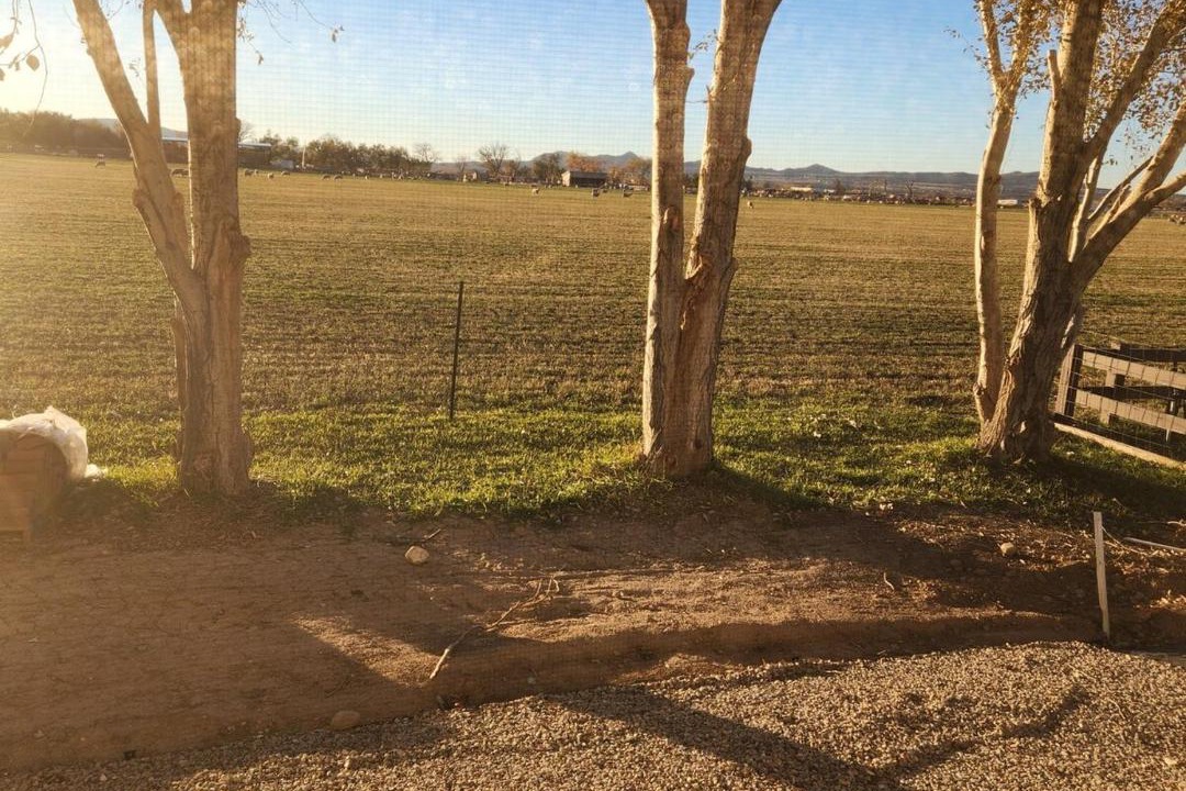 Photo of Others in Cedar City