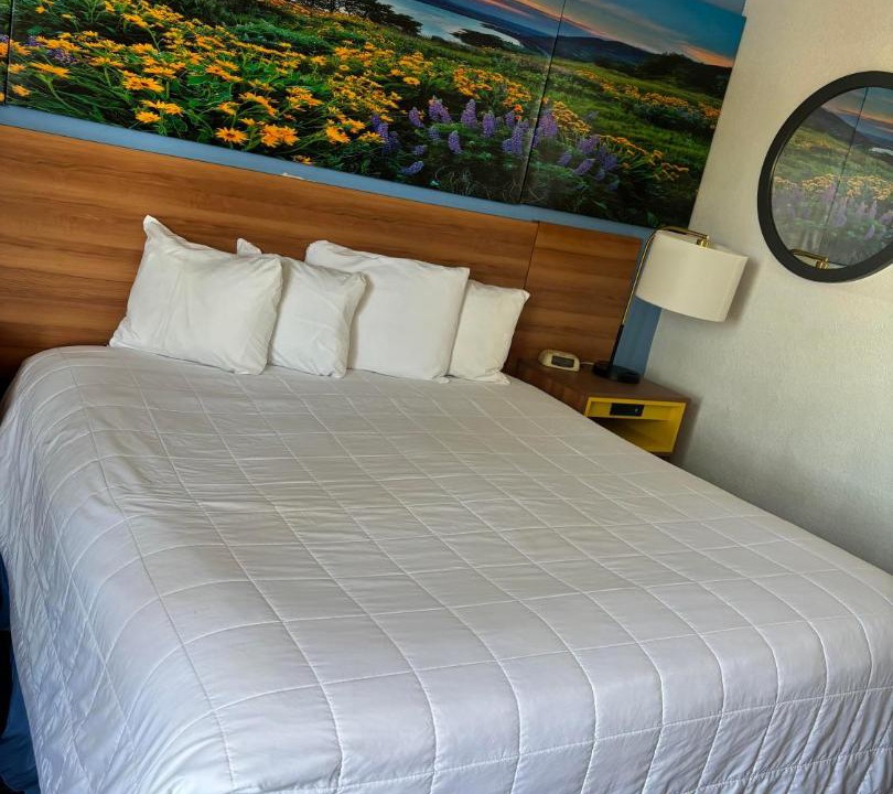 Photo of Bedroom in Needles