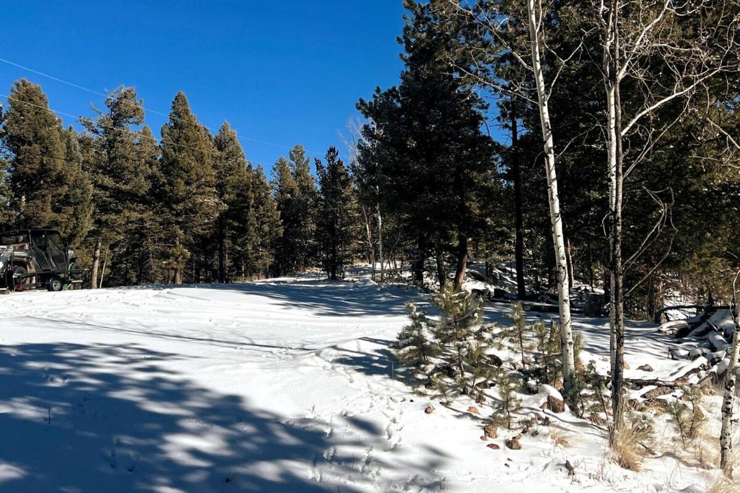 Photo of Outdoor in Woodland Park