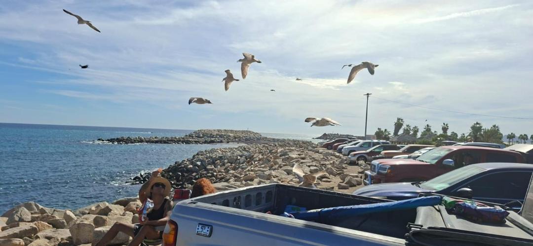 Photo of Others in Downtown San Jose del Cabo