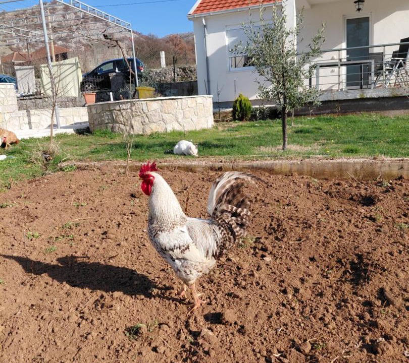 Photo of Others in Karuc