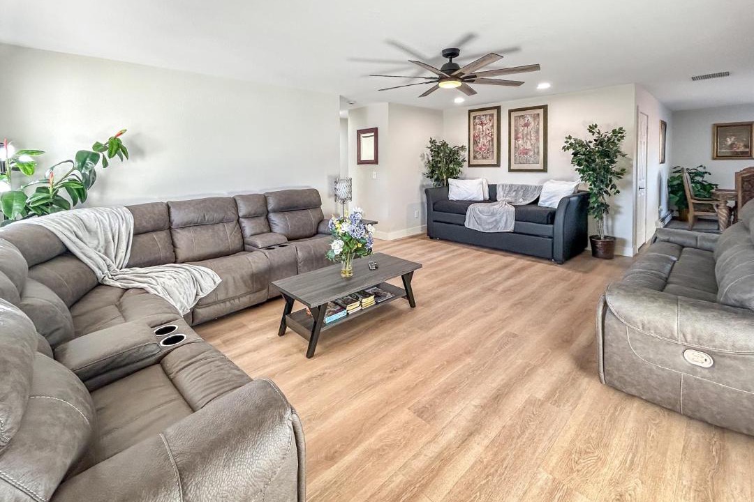 Photo of Livingroom in Montrose