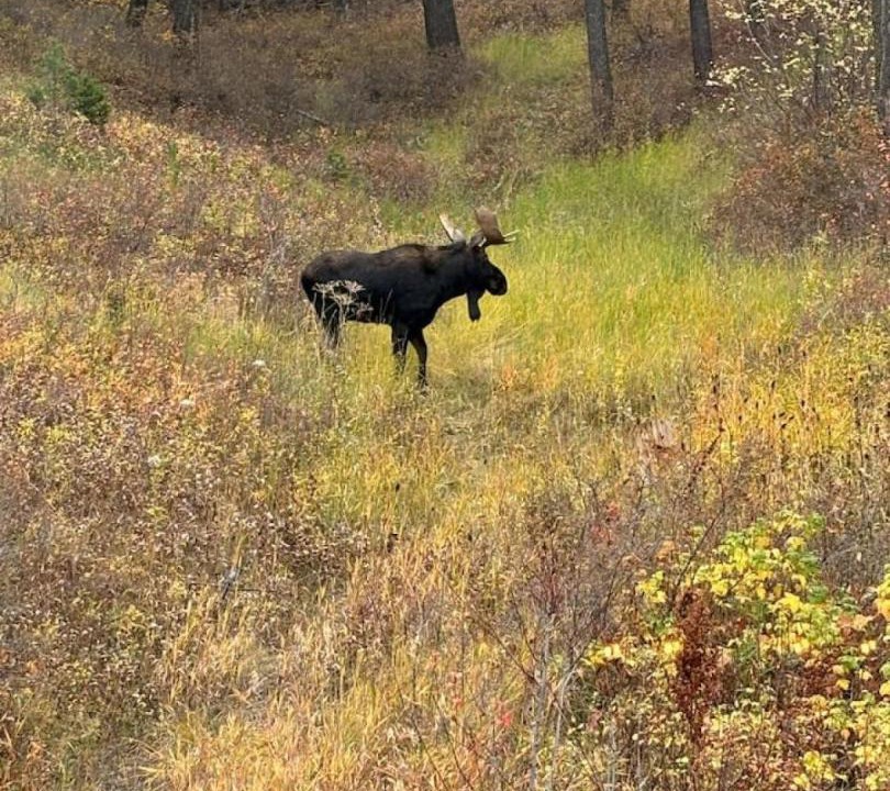 Photo of Others in Bozeman