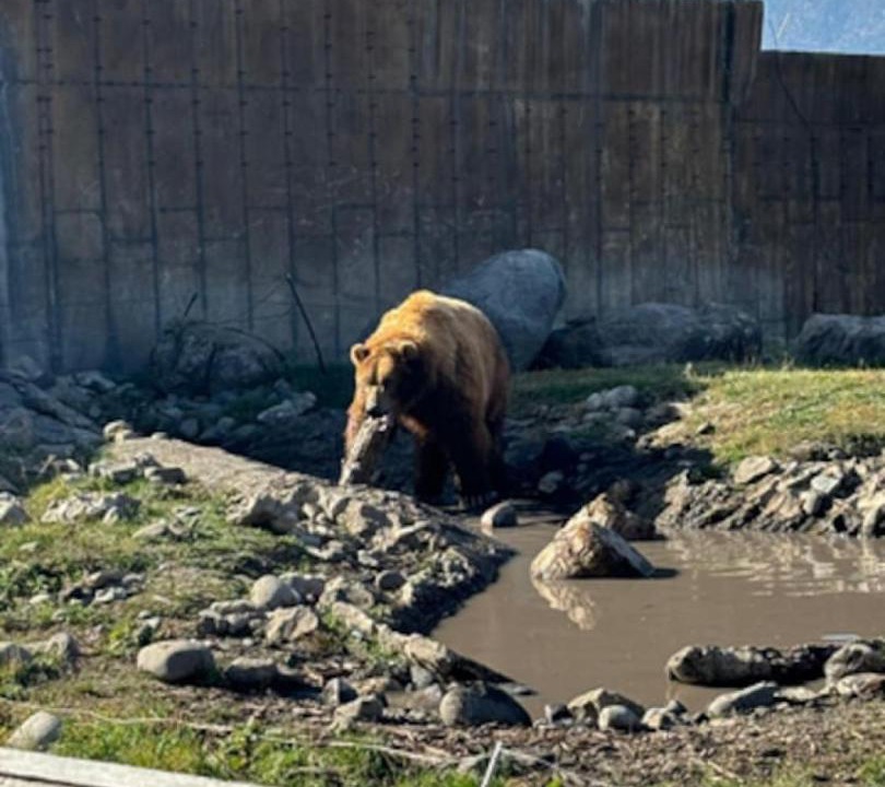 Photo of Others in Bozeman
