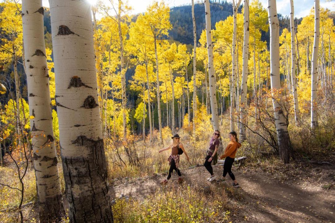 Photo of Others in Vail
