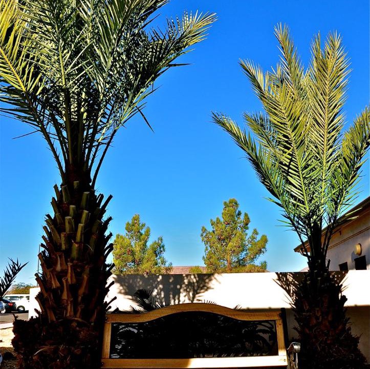 Photo of Others in Fort Irwin