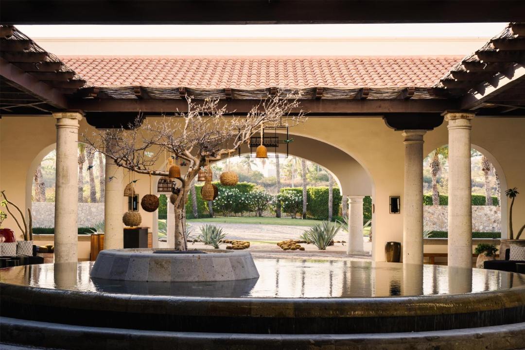 Photo of Others in San Jose del Cabo
