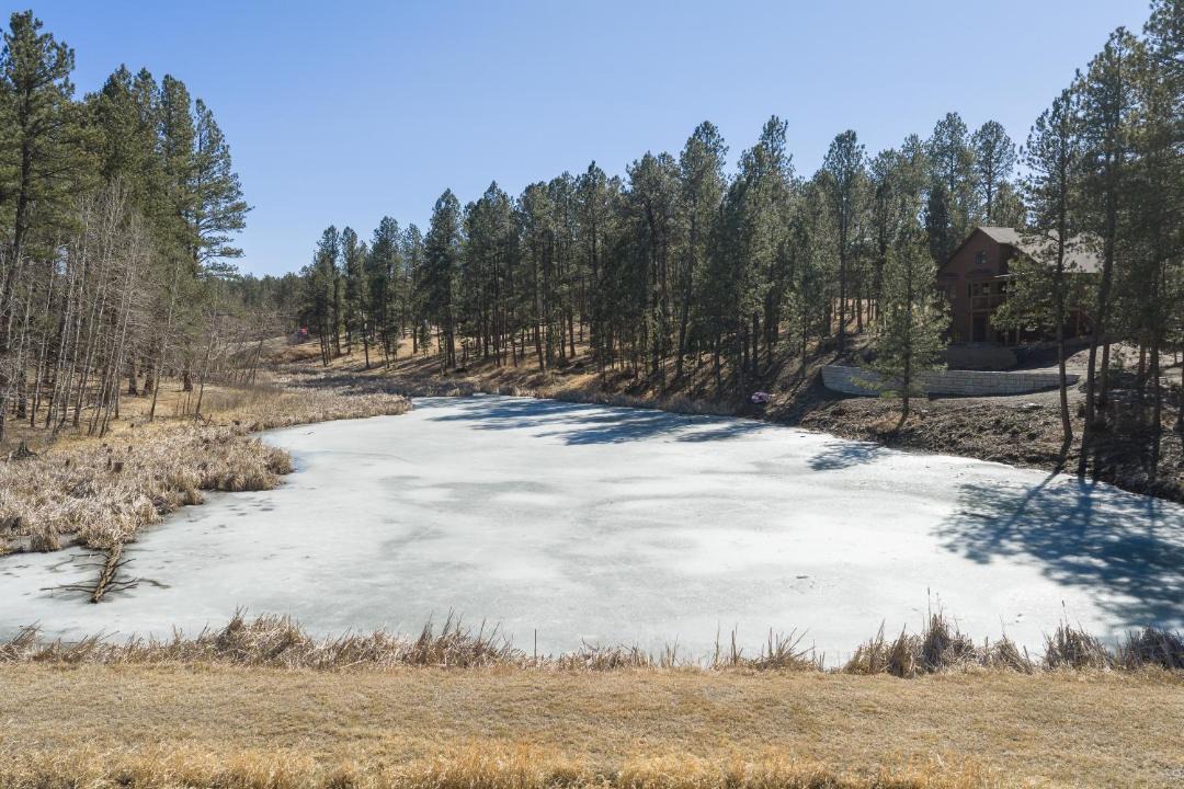 Photo of Others in Custer