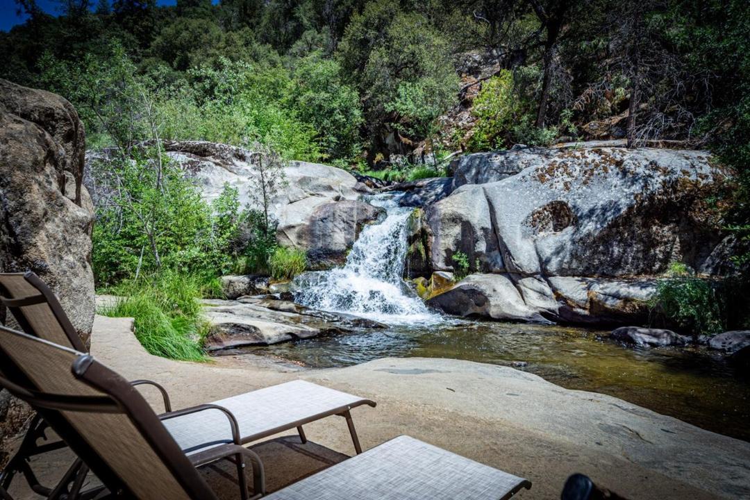 Photo of Others in Yosemite Forks