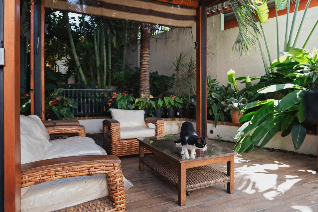 Photo of Patio Balcony in Todos Santos