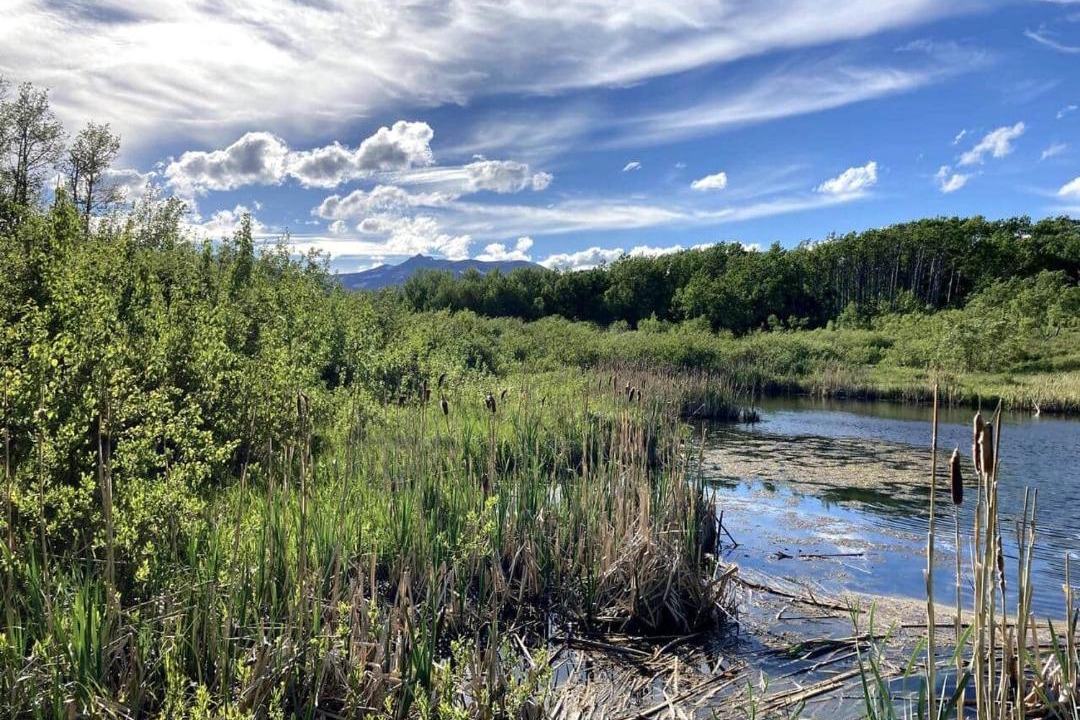 Photo of Others in East Glacier Park