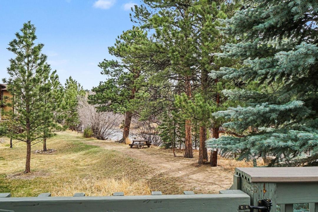 Photo of Others in Estes Park