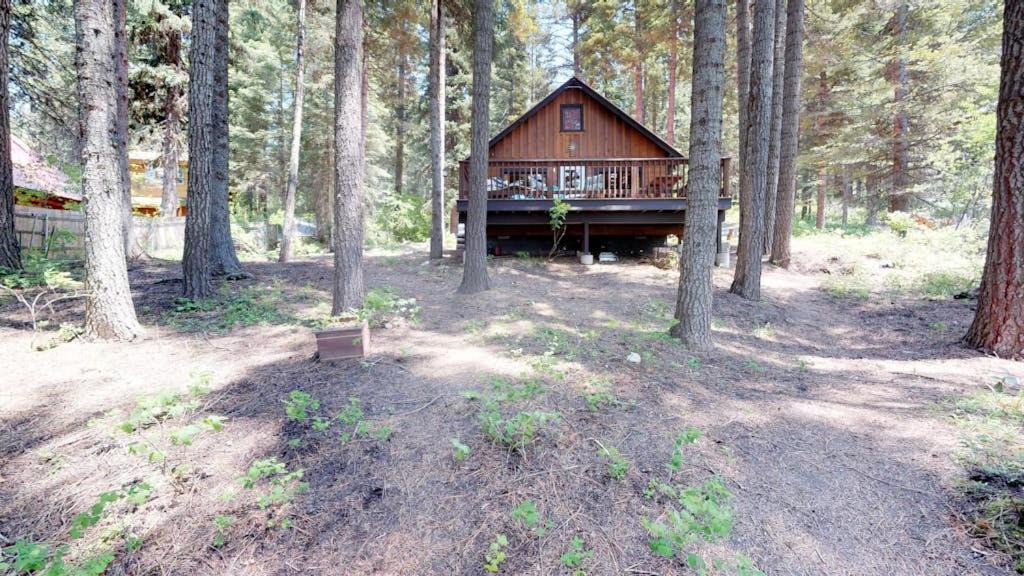 Photo of Others in McCall