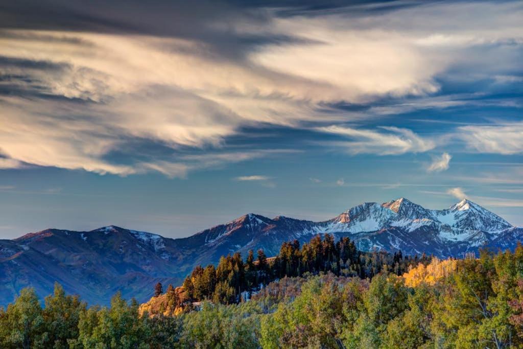 Photo of Others in North Park City