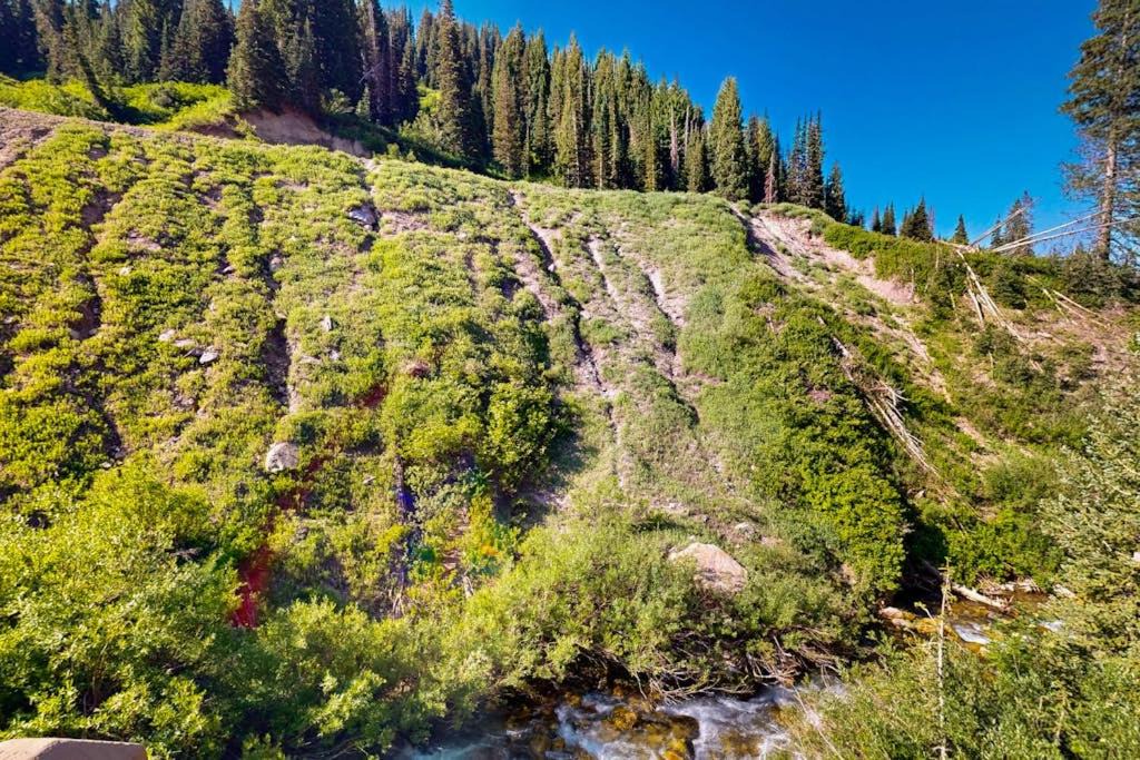 Photo of Others in Salt Lake Mountain Resorts
