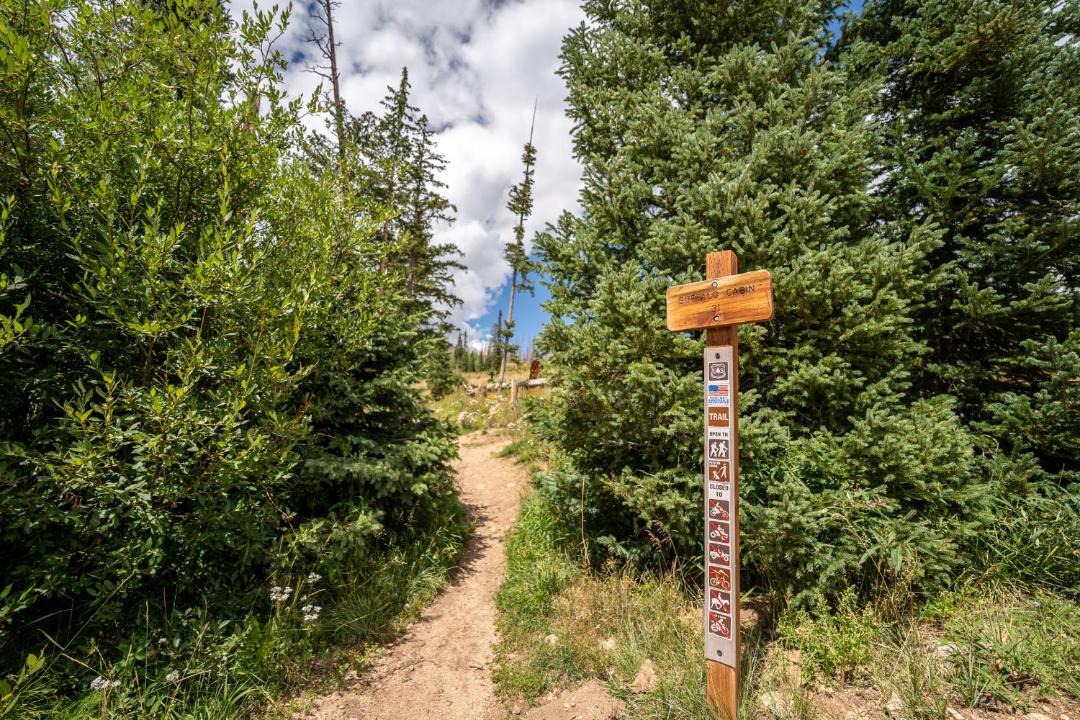 Photo of Others in Silverthorne