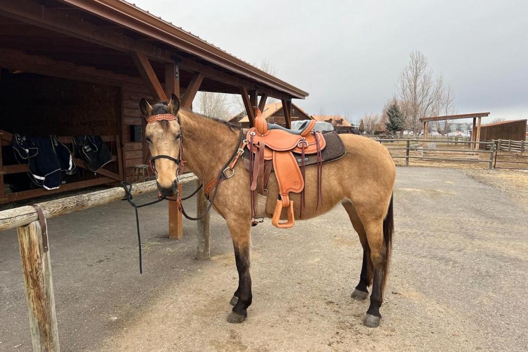 Photo of Others in Bozeman