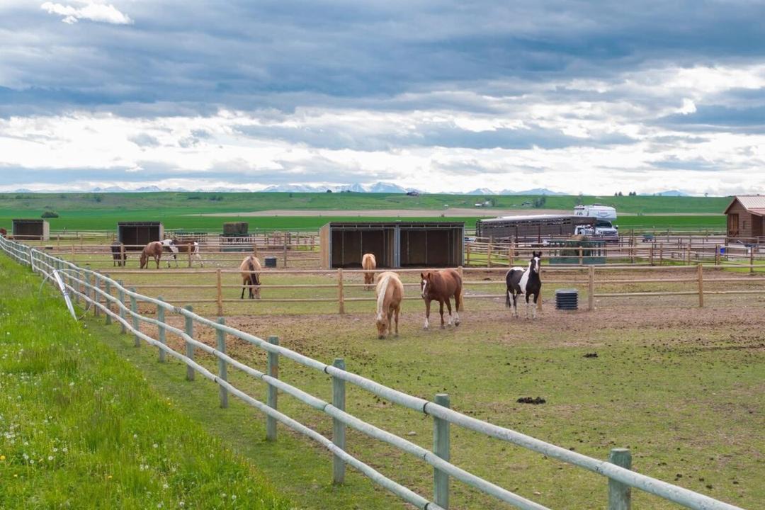 Photo of Others in Bozeman