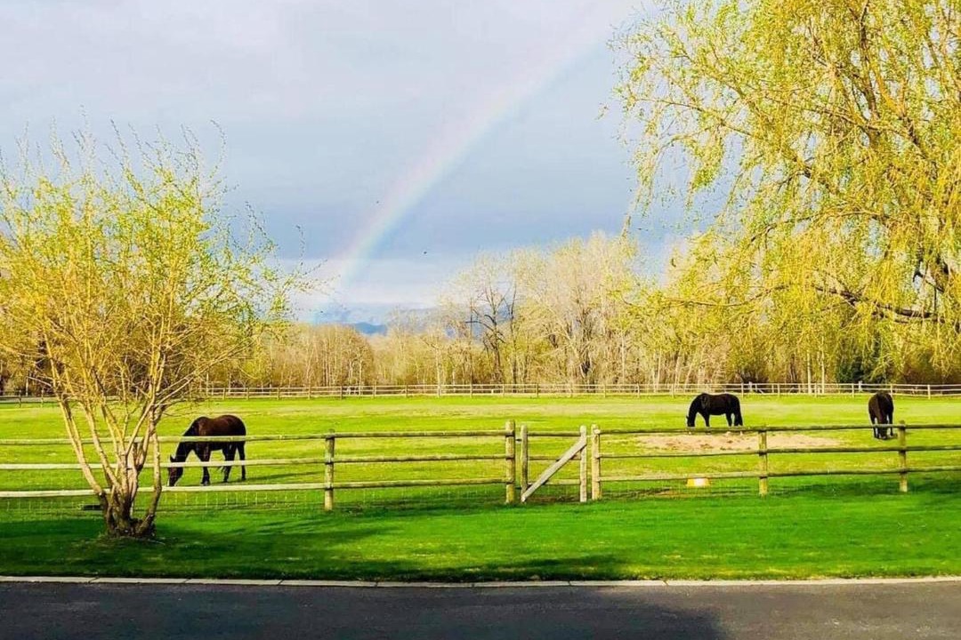 Photo of Others in Bozeman