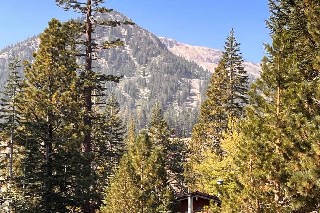 Photo of Others in Mammoth Lakes