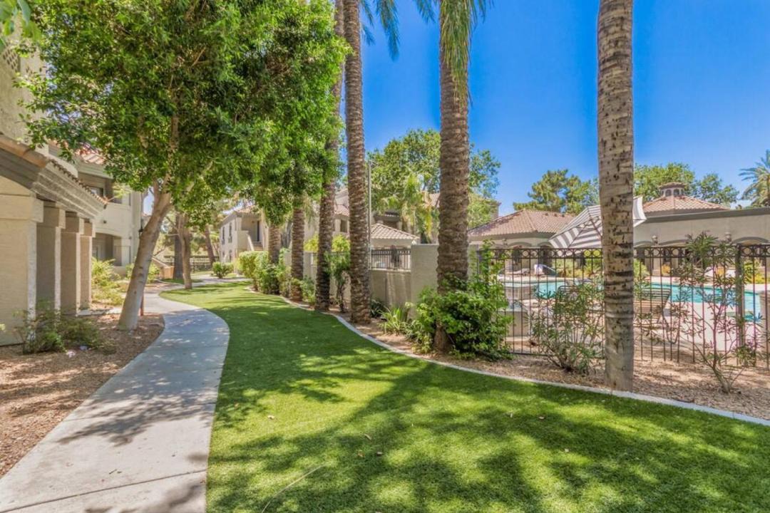 Photo of Others in North Scottsdale