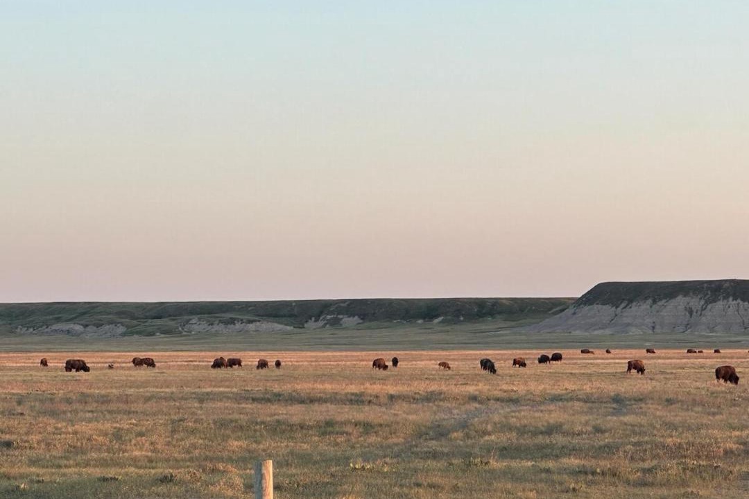 Photo of Others in Northeast Entrance Badlands