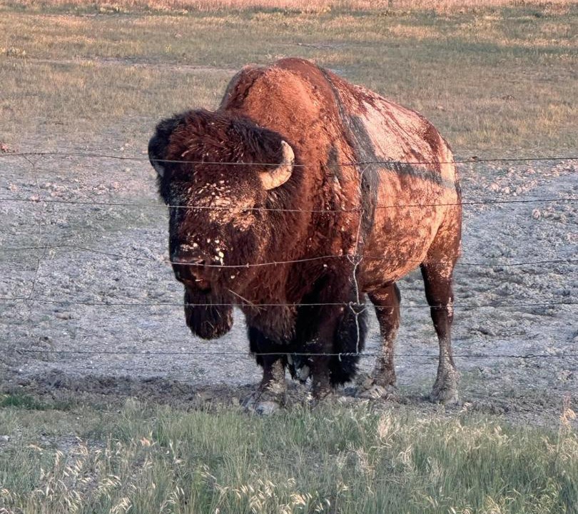Photo of Others in Northeast Entrance Badlands