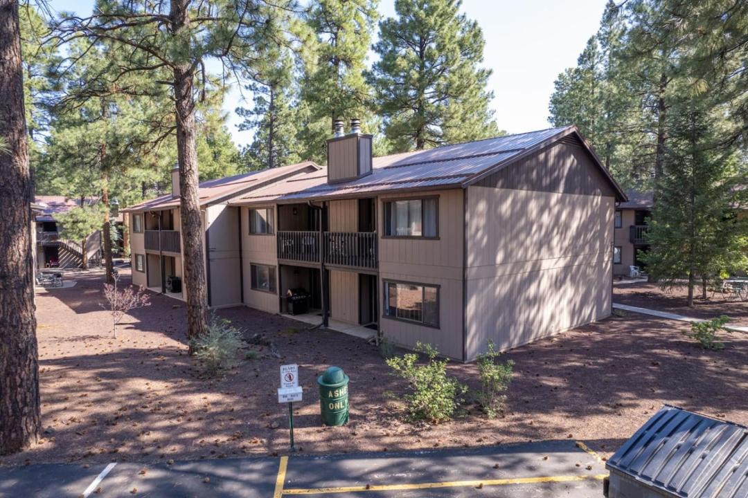 Photo of Others in Pinetop
