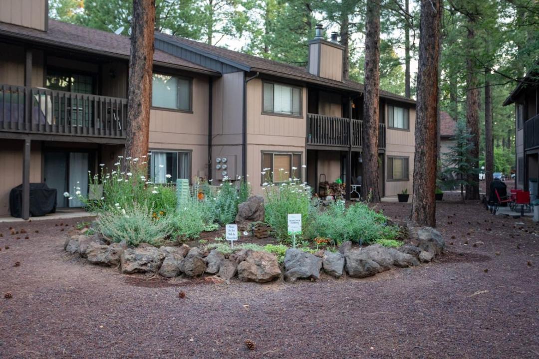 Photo of Others in Pinetop