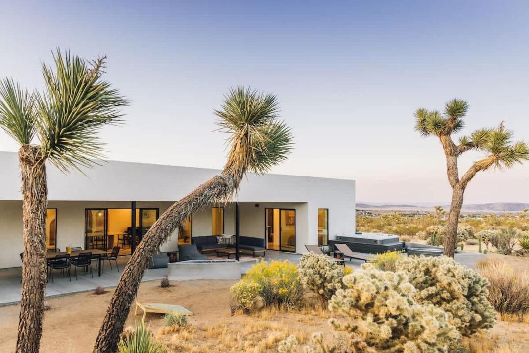 Photo of Others in Joshua Tree