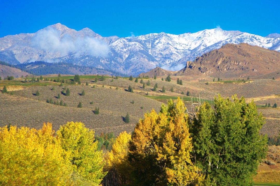 Photo of Others in Sun Valley