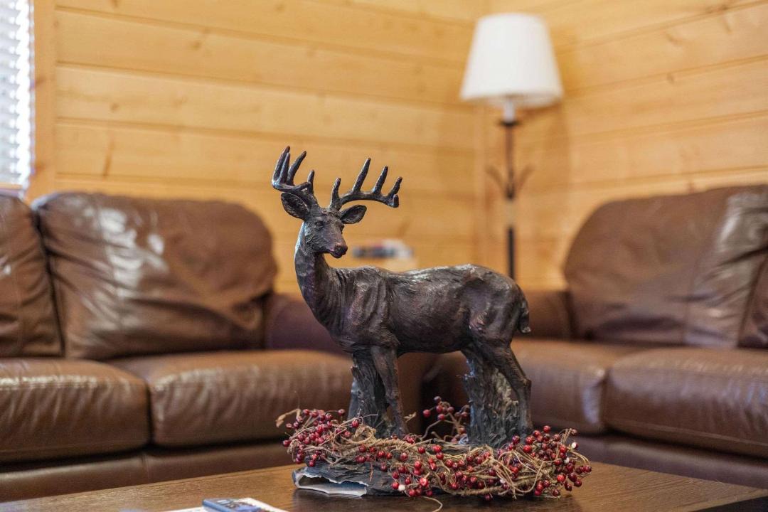 Photo of Livingroom in Estes Park