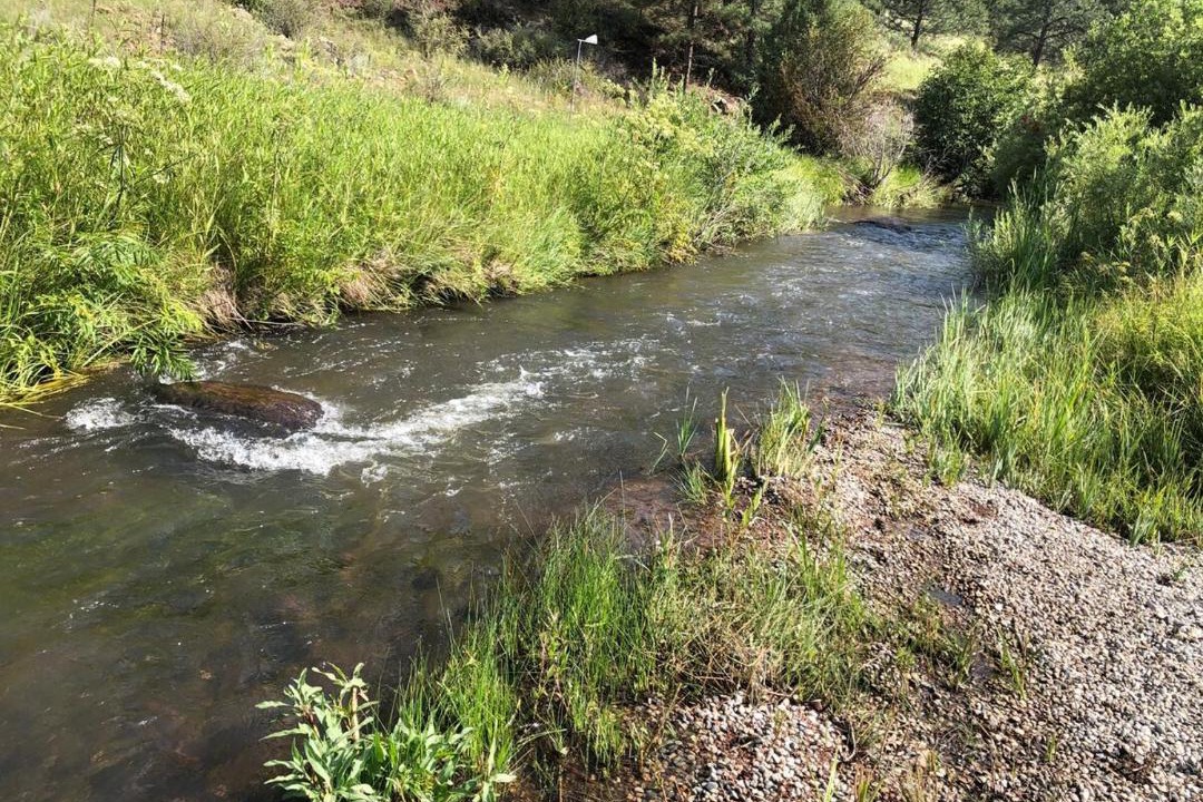 Photo of Others in Florissant