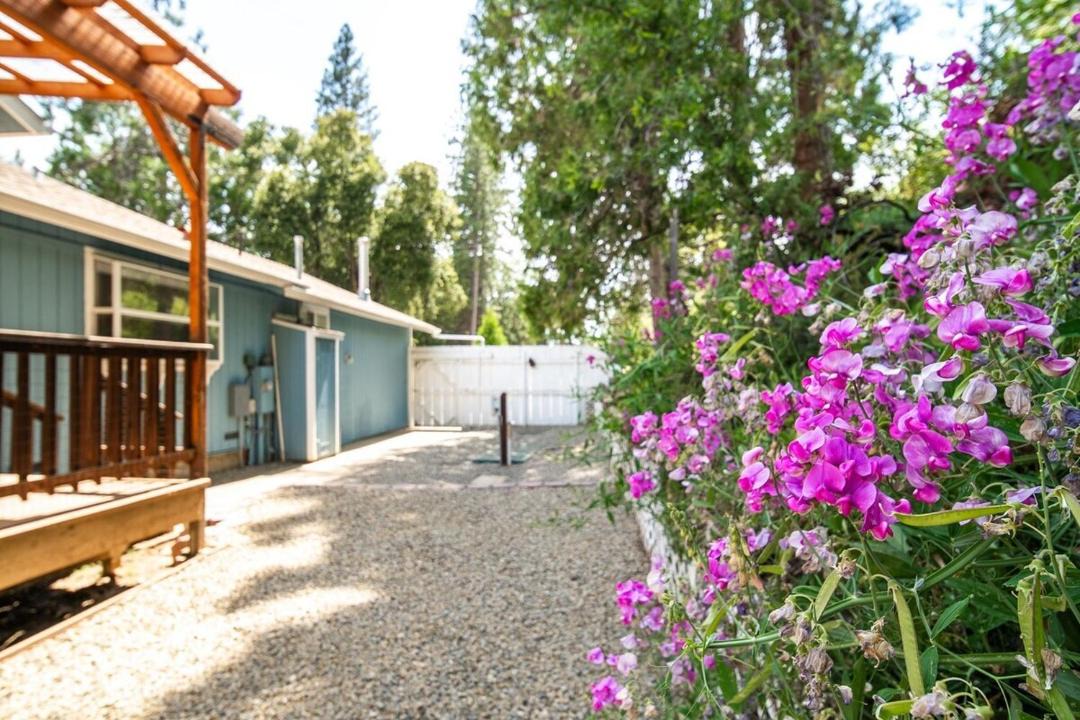Photo of Others in Mariposa