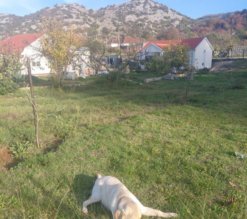 Photo of Others in Karuc