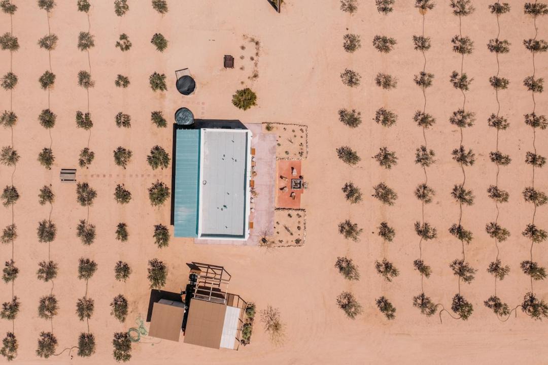 Photo of Others in Twentynine Palms