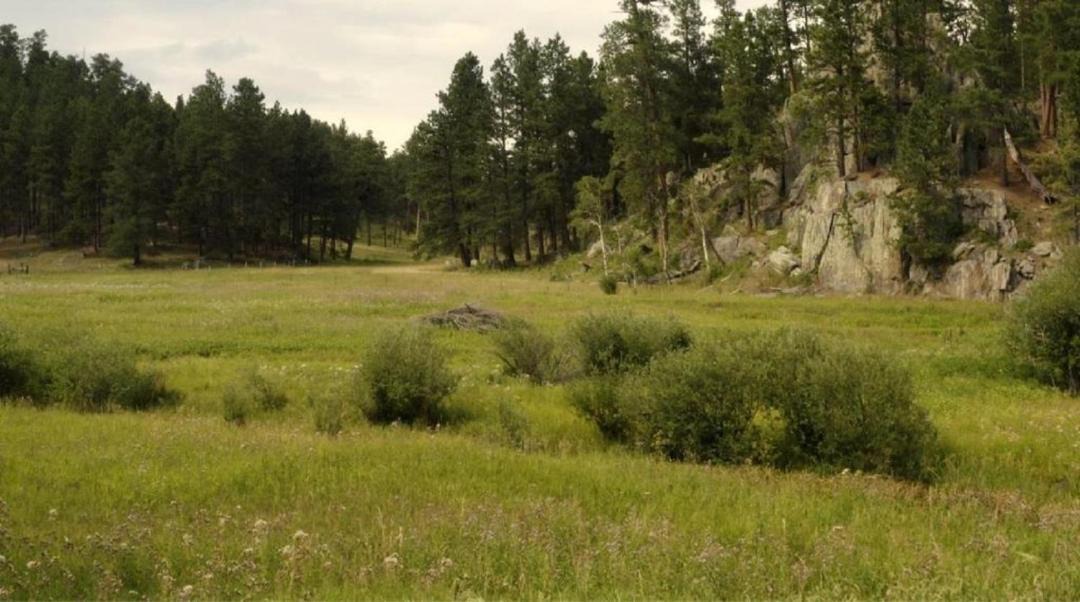 Photo of Others in Rapid City