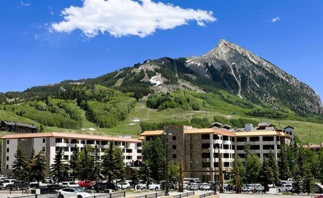 Photo of Others in Mount Crested Butte