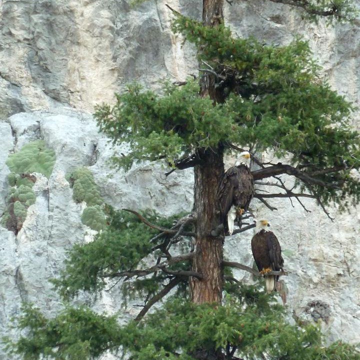 Photo of Others in Cascade