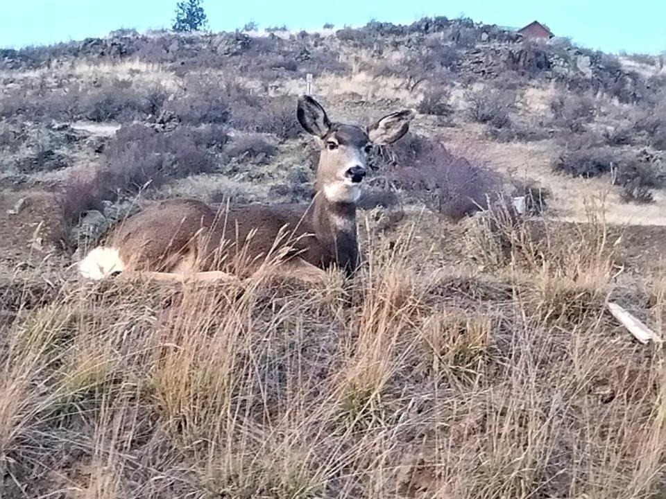 Photo of Others in Plains