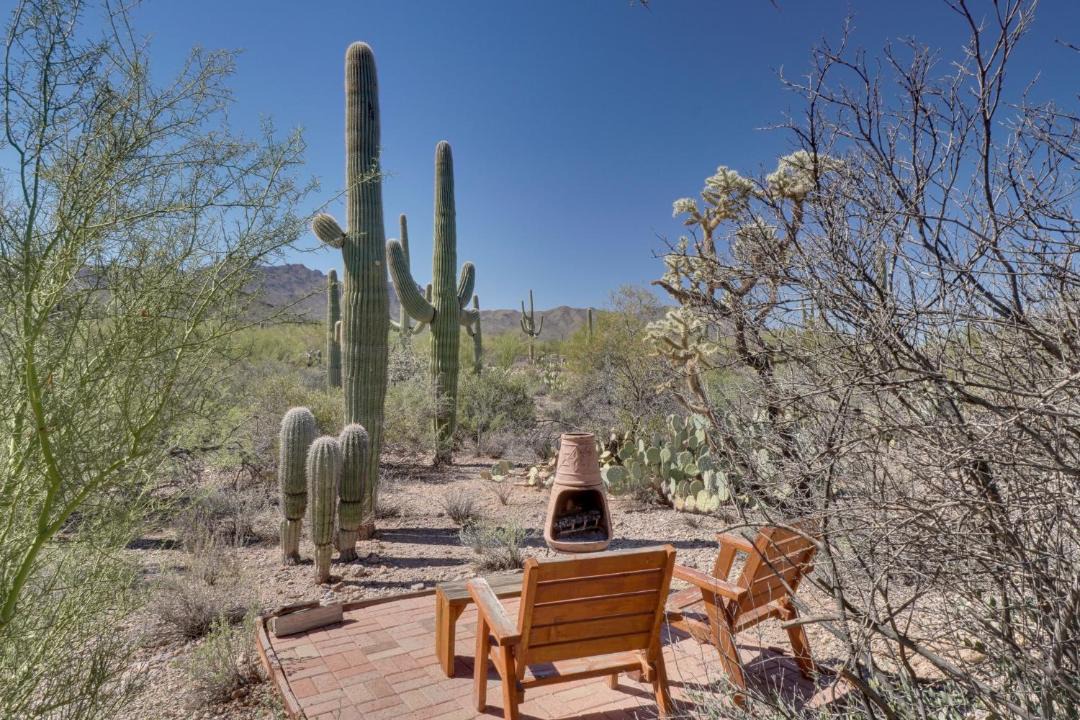 Photo of Others in Tucson