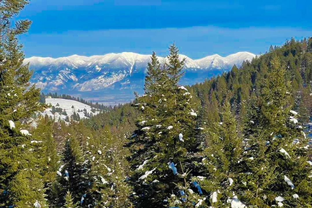 Photo of Others in Kalispell