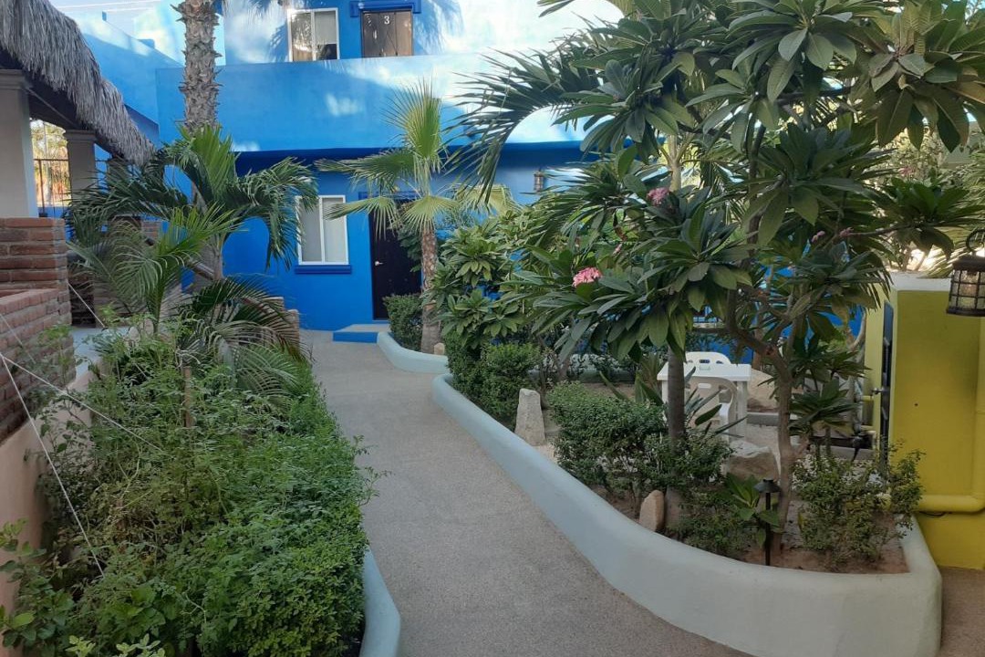 Photo of Others in San Jose del Cabo