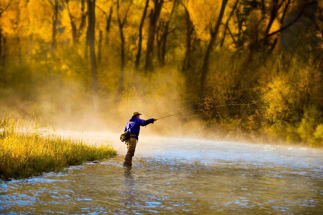 Photo of Others in Bozeman