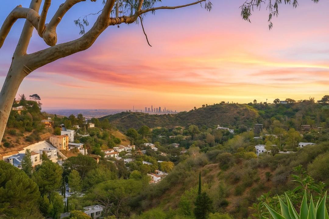Photo of Others in Hollywood Hills West